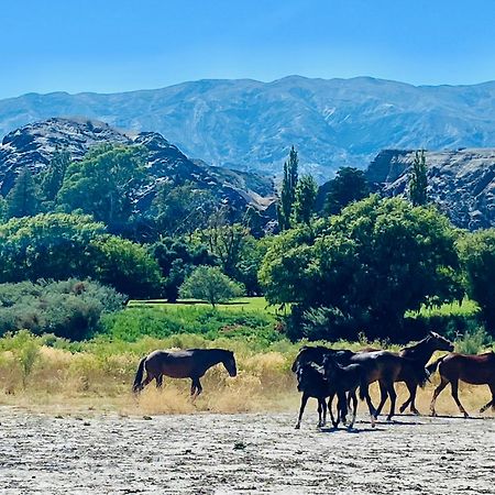 Finca Tierra Calma Casa 1 Барреаль Екстер'єр фото