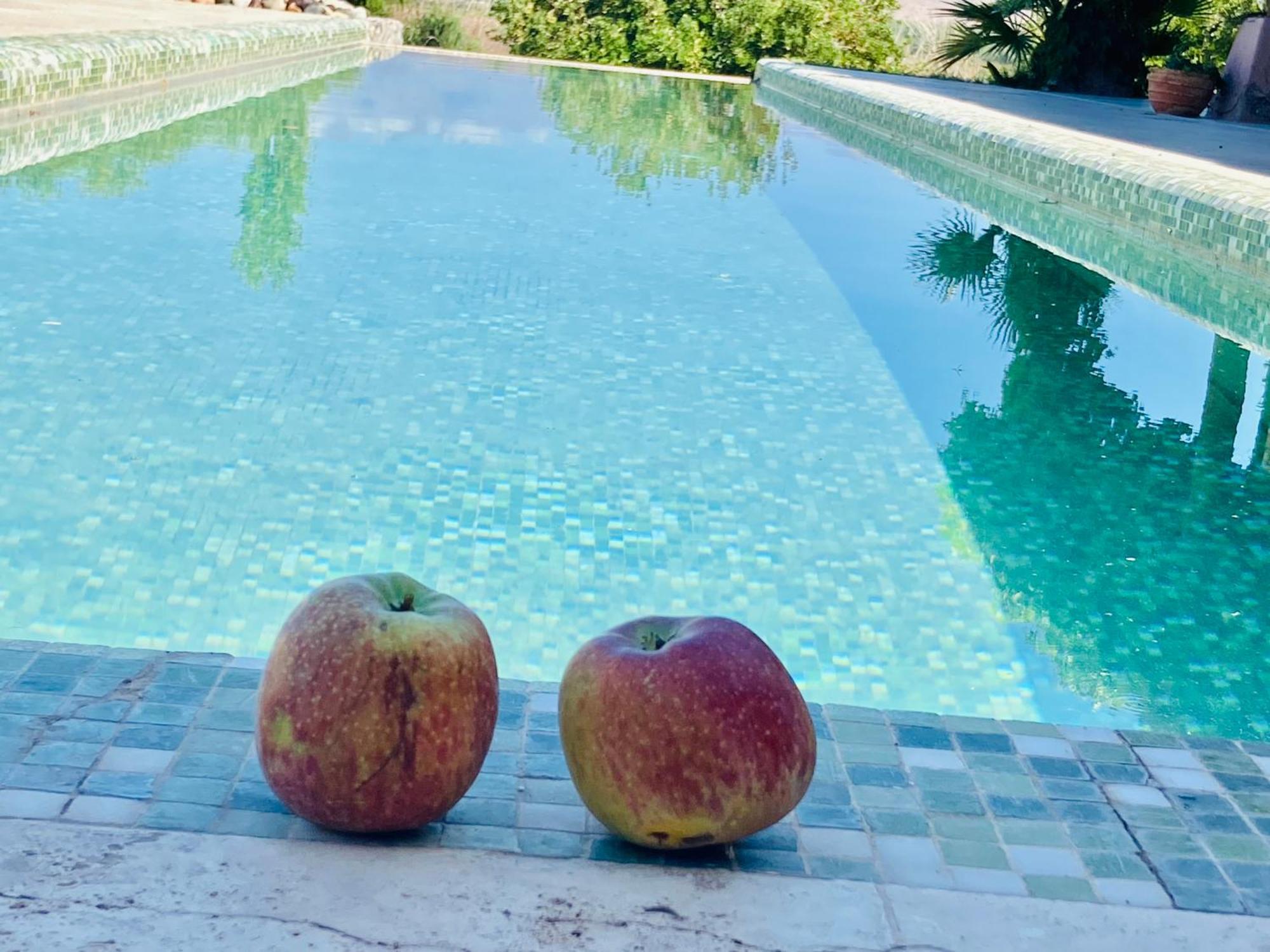 Finca Tierra Calma Casa 1 Барреаль Екстер'єр фото
