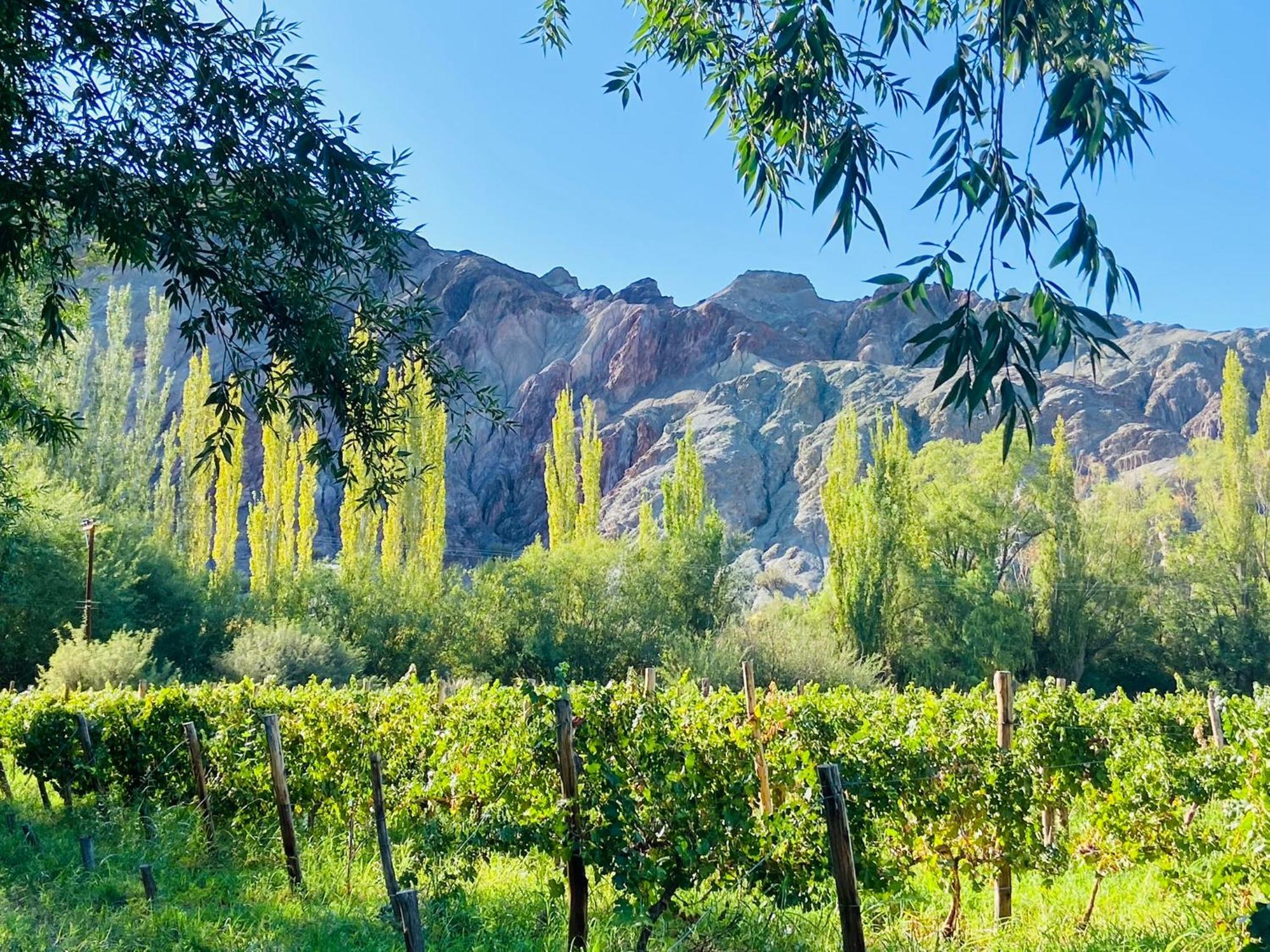 Finca Tierra Calma Casa 1 Барреаль Екстер'єр фото