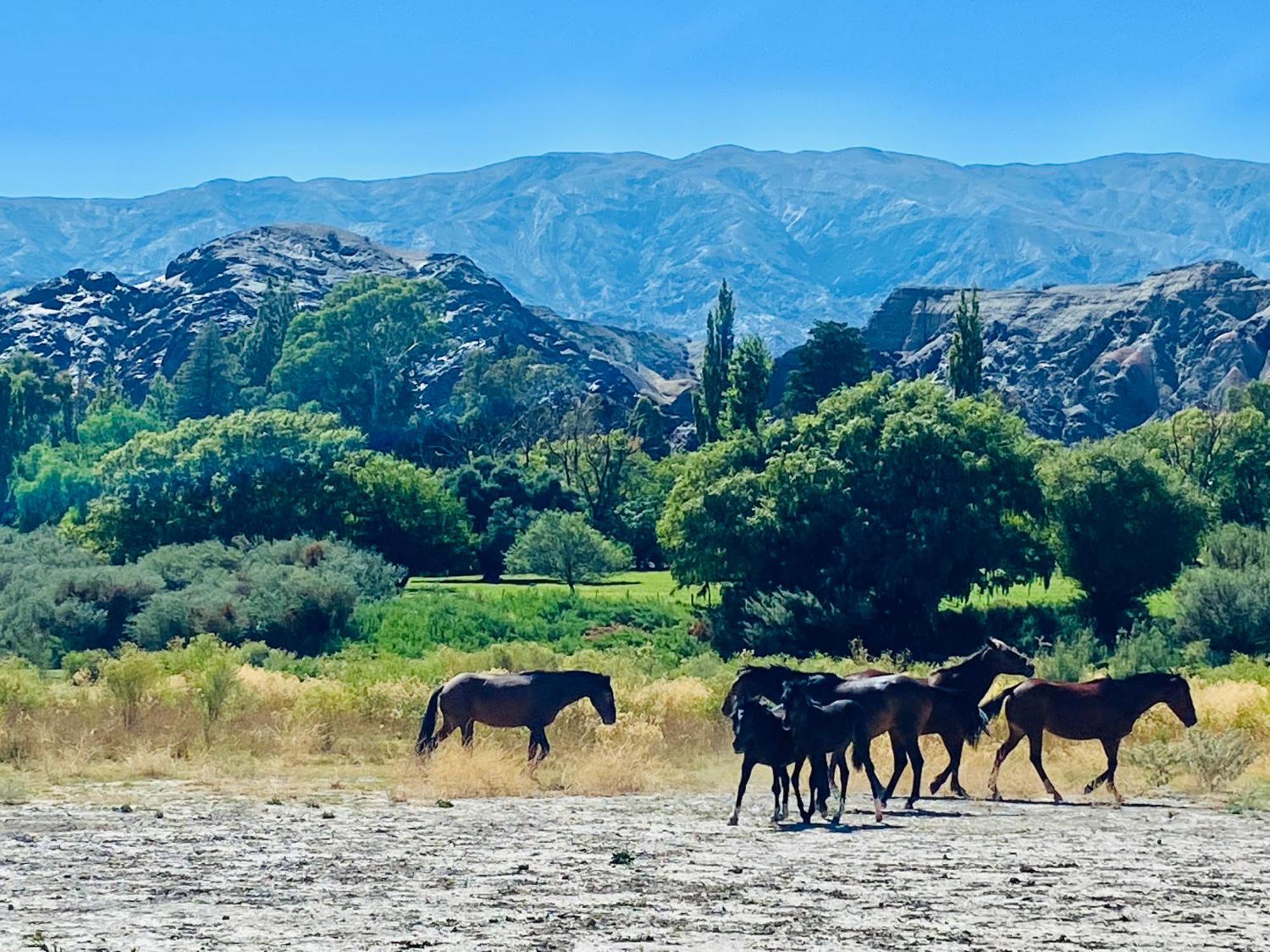 Finca Tierra Calma Casa 1 Барреаль Екстер'єр фото